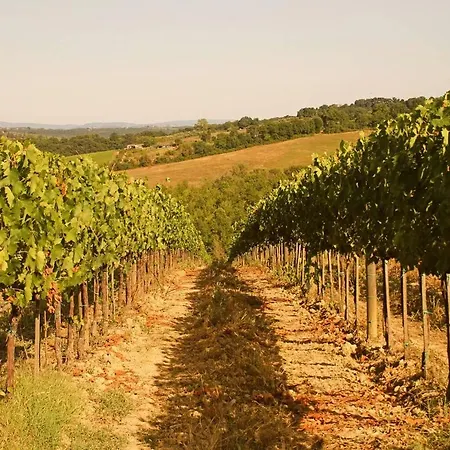 Il Cantuccio Nel Chianti